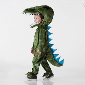 Pottery barn dinosaur costume